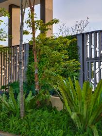 GeorgetownTropicana Macalister 218