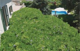 Awesome home in Sller with 7 Bedrooms, WiFi and Outdoor swimming pool