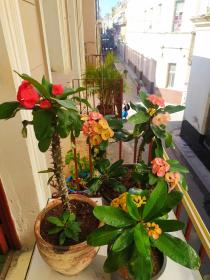 Hostal Maria & Julio