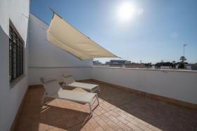 Apartamento La Terraza de la Araucaria - Cadiz