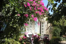 Incirliev - Special Category