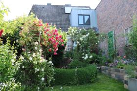 Ferienhaus Im Schnuckenbau