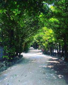 フクギ並木の貸別荘