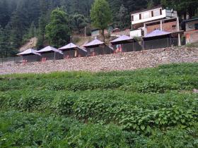 Barot , Waterfall Camps and Domes