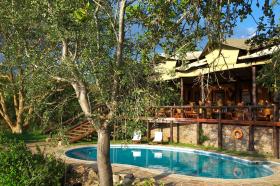 Serengeti Migration Camp