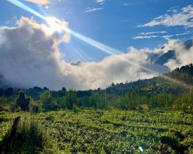Basic Hut in an Orchard Rehn village