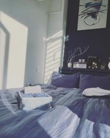 LILY HOUSE( Mini home 2PN)