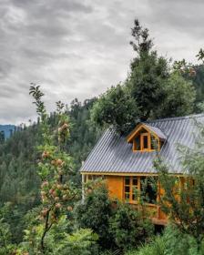 THE TREE HOUSE JIBHI ,Swastika Aashiyana