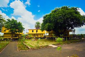 TGI Insignia Resort and Villas