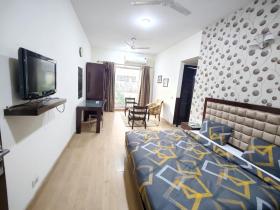 Luxury Tranquil Apartment Near Huda City Metro