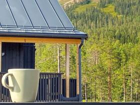 Apartment SÄLEN VII