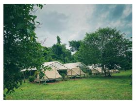 Wild Farm - ចម្ការព្រៃ