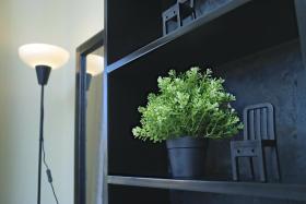 Sky View Apartment Bukoto Kampala