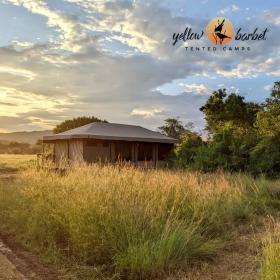 Yellow Barbet Tented Camps