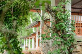 Sinharaja Forest Lodge