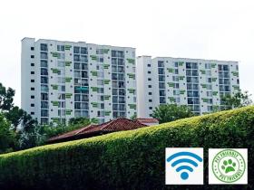 Paisas Living Apto a 10 min parque del café