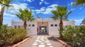 Bougain by Palmeraie 2 or 3 Px