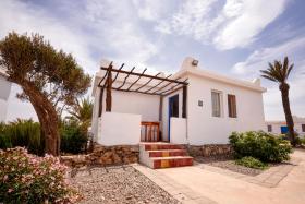 Clementine by Palmeraie 2 or 3 Px