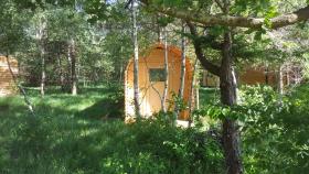 Glamping Pod im Wald
