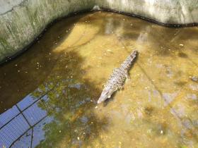 Earthen home intertwined in the 2 hectare farm