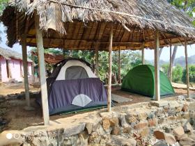 Drunken Monkey camping site