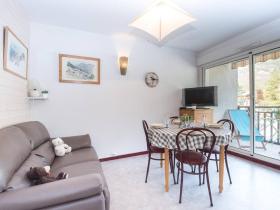 Appartement Saint-Lary-Soulan, 2 pièces, 4 personnes - FR-1-296-139