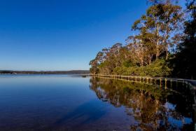 Treehouse on the Coast - pet friendly