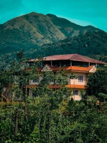 Jungle view Homestay