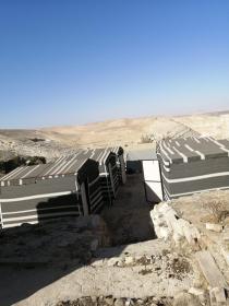 الشوبك - مثلث أبو عبد - مقابل قلعة الشوبك