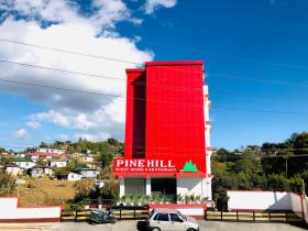 Pine Hill Comfort Stay