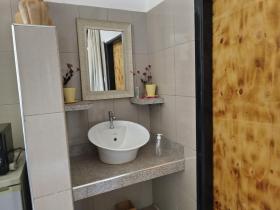 Springs & Petals Garden