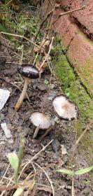 ZERO KM. CAFE AND CAMPS