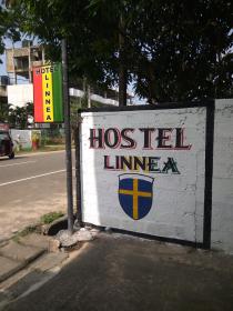Linnea Hotel and Hostel