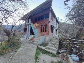 Paradise camping Apple orchid