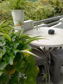 Guesthouse Next to beach