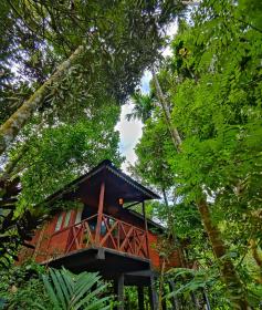 Wooden Cottages Glen Wayanad
