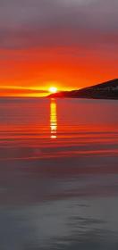 The Lilly Restaurant With Rooms