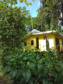 Caribbean Forest Cabins