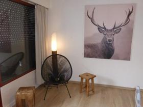 Appartement Samoëns, 2 pièces, 4 personnes - FR-1-629-50