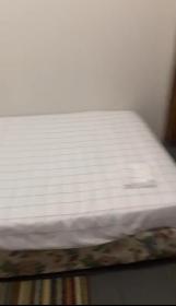 Habitacion Privada con baño privado, Primera linea de playa privada incluido actividad de snorkeling o Fundive con desayuno incluido