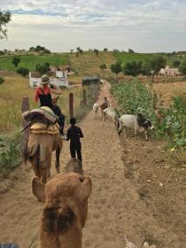 Jodhpur Overnight Stay In Desert NotOnMap