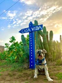 Hermosa cabaña para disfrutar (Sabanilla)