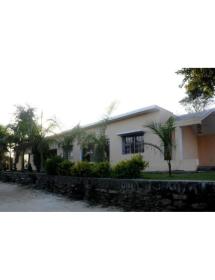 Resort Palm Pair, jabalpur