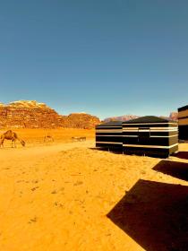Desert tree Camp Wadi Rum