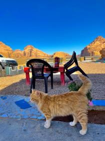 Qais in Wadi Rum camp