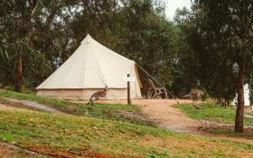 Mansfield Glamping