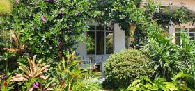 Kigali's hidden Gem Amahle House - private home