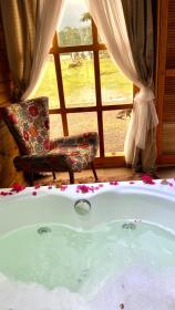 Figueira do Rio do Boi