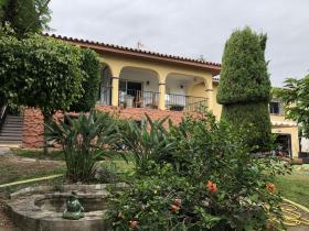 Beach side Ville Marbella