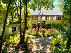 Jackaroo Treehouse Rainforest Retreat